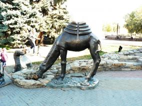 Погонщик верблюдов