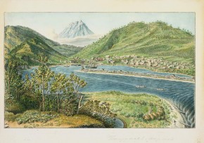 Вид Петропавловской гавани с Сигнального мыса