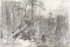 Утро в сосновом лесу