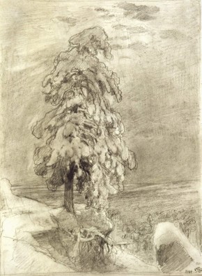 «На севере диком...»