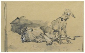 Лев состарившийся