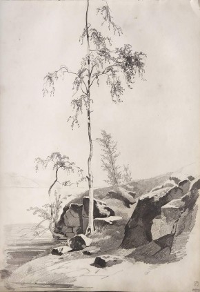 На берегу озера