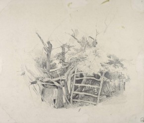 Деревья и плетень