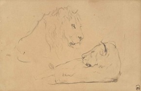 Лев и львица