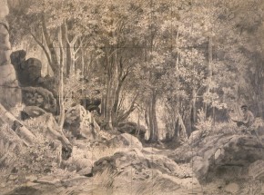 На острове Валаам (Лиственный лес на скалистом берегу. Валаам)