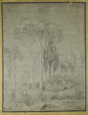 Пинии и кипарисы