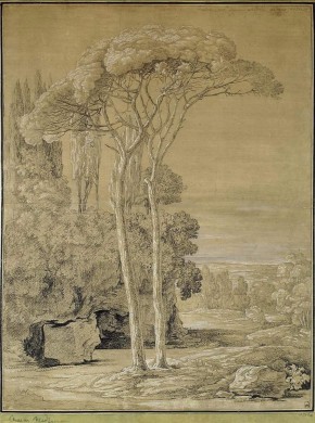 Пинии в Альбано