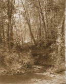 Лес (Ручей в лесу)