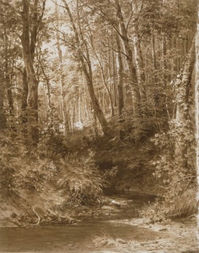 Лес (Ручей в лесу)