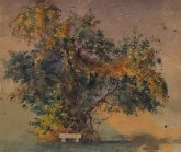 Дерево со скамьей