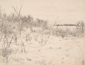 Плавни против Никополя