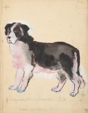 Иллюстрации к книге В. М. Ермолаевой «Собачки»