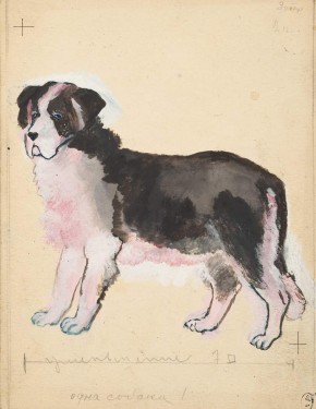 Иллюстрации к книге В. М. Ермолаевой «Собачки»