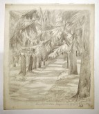 Село Михайловское. Въездная аллея в усадьбу