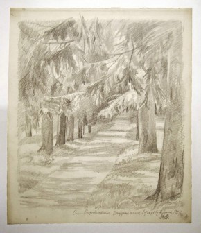 Село Михайловское. Въездная аллея в усадьбу