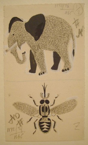 Беюл. Письма из Африки