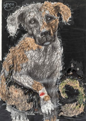 Штернтерьер Леха раненый