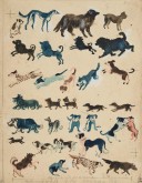 Иллюстрации к книге В. М. Ермолаевой «Собачки»