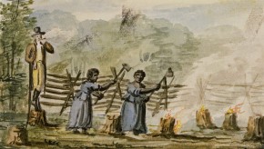 На плантации