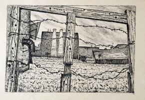 Огород на Обводном канале