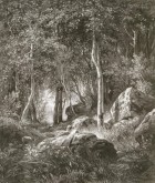 Валаам. На краю березовой рощи