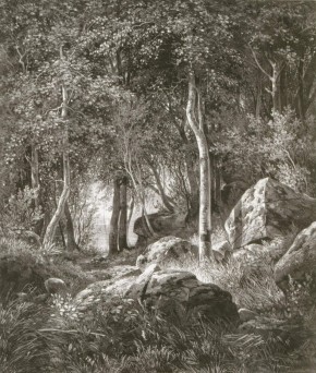 Валаам. На краю березовой рощи