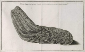 № 36. Императорская мантия, вытканная из золота наподобие сетки