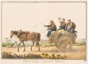 Телега, нагруженная бараньими шкурами