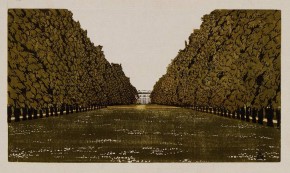 Перспектива Царского