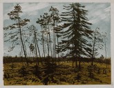 Финляндия с голубым небом