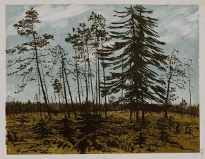 Финляндия с голубым небом