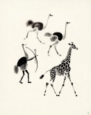 Африка. Охота на страусов