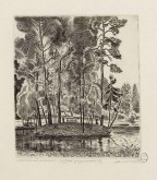 Михайловское. Остров Уединения