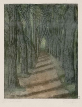 Пушкинский заповедник. Аллея в Михайловском