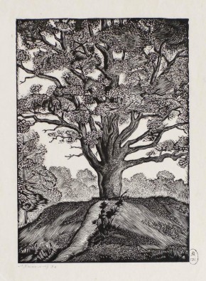 Тригорское. Дуб современный Пушкину