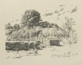 С. Михайловское. Руины дома Пушкина и домик няни