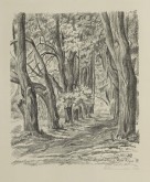 С. Михайловское. Аллея Керн