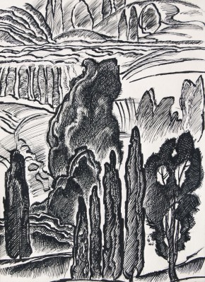 Крым. Виноградники