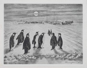 Антарктида (Пингвиния)