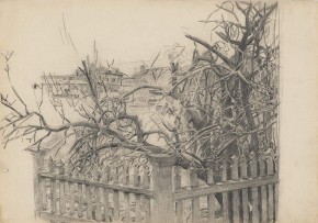 Дерево у забора