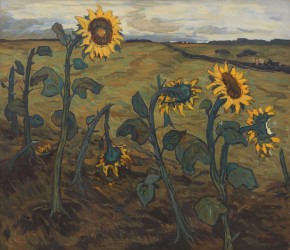 Подсолнухи. Осень 1944