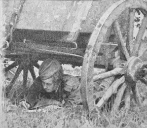 Письмо на родину. Жаркий день