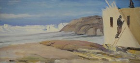 Сборка домика лётчиков. Мирный. Антарктида