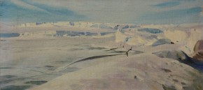 У ледника Шеклтона. Антарктида