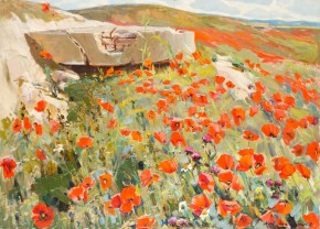 Дот, зарастающий маками