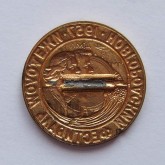 Значок «Новгородский фестиваль молодежи»