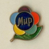 Значок-жетон фестивальный