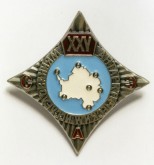 Знак «25 лет антарктическим исследованиям»