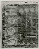 «Книга-цветник»