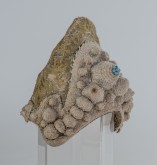 Портрет женщины в старинном костюме